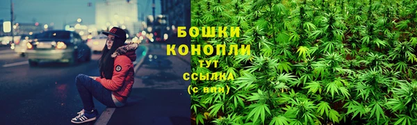 бутират Козловка